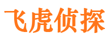 东源市调查公司